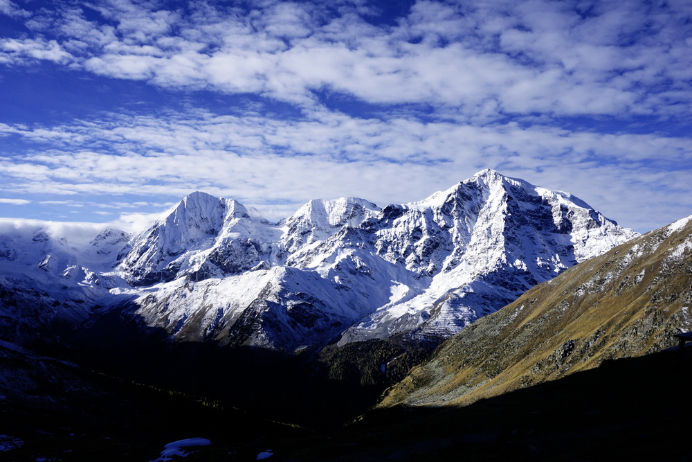 König Ortler Zebru